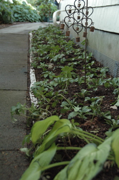 The “after” patch, with bells