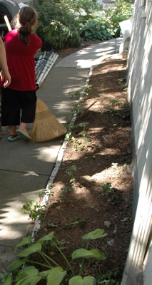 The “before” patch