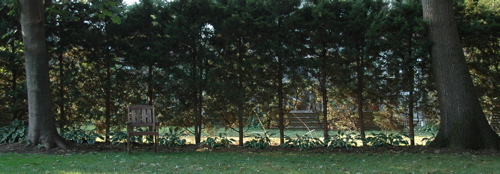 Blank space with chair