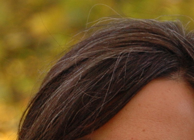 Hair closeup