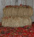 Hay bales