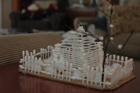 Cotton swab house