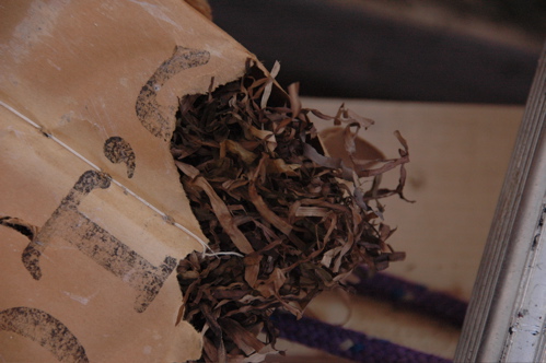 Eelgrass from Cabot\'s Quilt