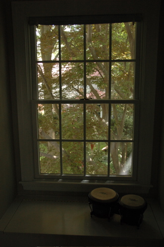 Window seat, maple tree