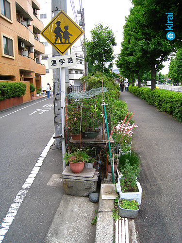 Sliver Garden in Tokyo