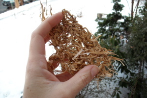 leafy-leaf leafy-leaf