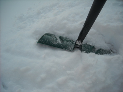 Massachusetts morning, 2.4.2009