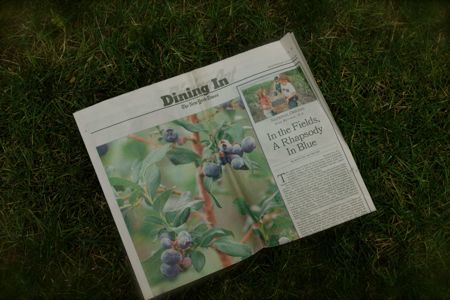 Article on blueberries