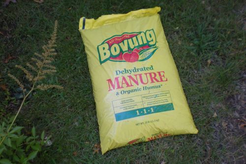 Manure
