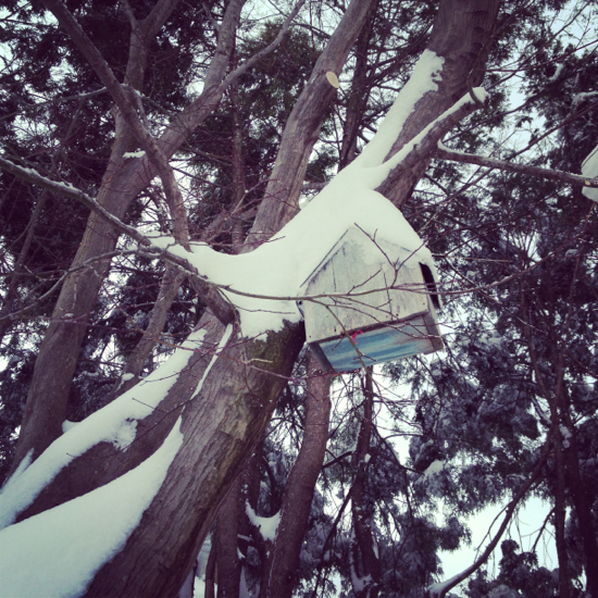Snow_birdhouse