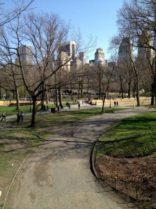 Central Park Running Path, 4.15.2013